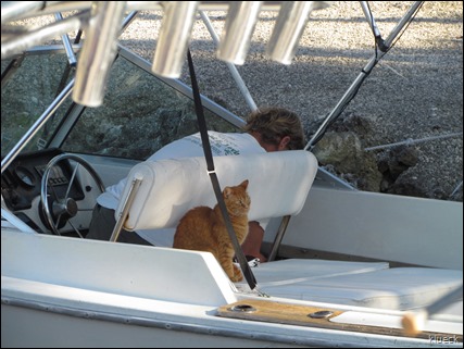 5 toed cat in boat