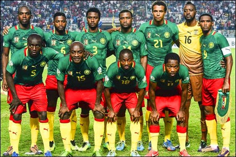 Selección de Camerún al Mundial de Brasil 2014