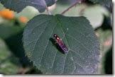 IMG_2937 IMG_2937