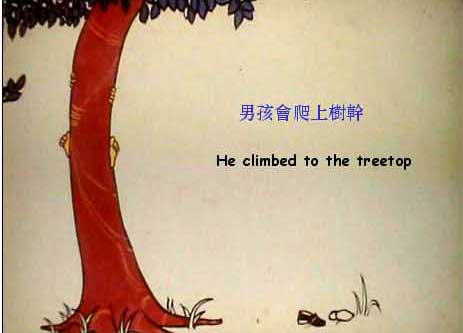 The Boy & The Apple Tree