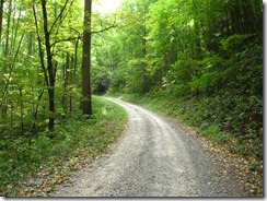 Sunburst Forest Service Road