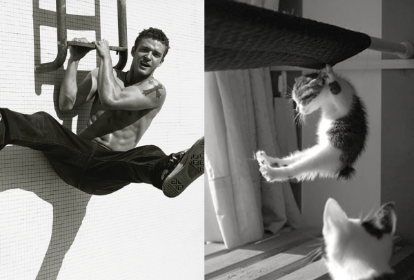 Горячие парни и котята (35 фото) | Картинка №9