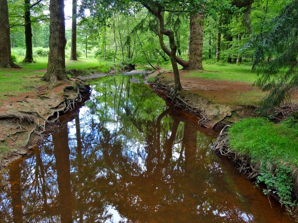 [DSC06566%2520%25281300x975%2529%255B4%255D.jpg]