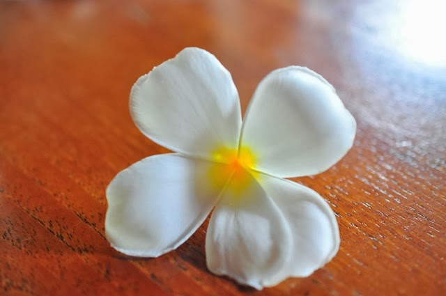 [DSC_0140%255B3%255D.jpg]