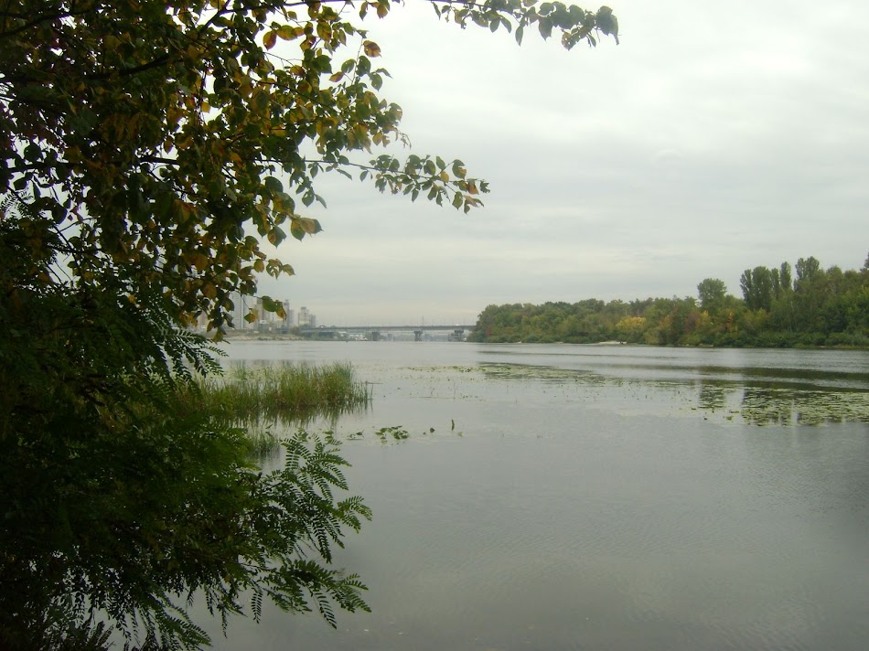 DSC04110.JPG
