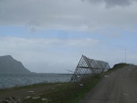 IMG_5451 IMG_5451