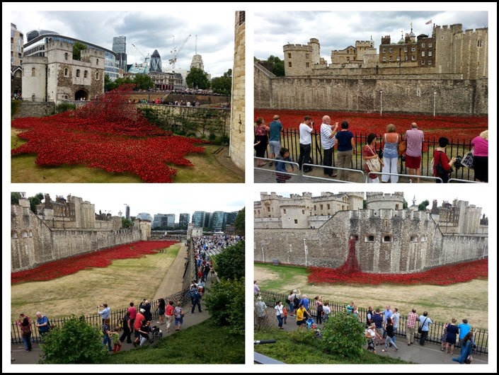 9a Poppies 9a Poppies