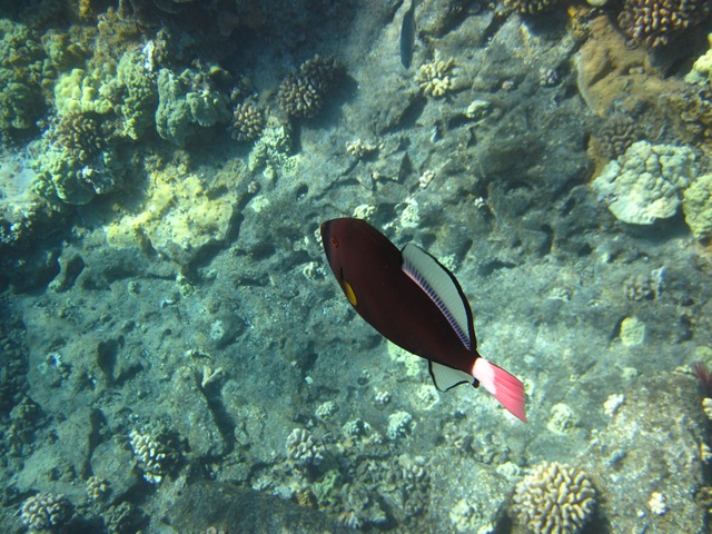 [IMG_3446%255B3%255D.jpg]