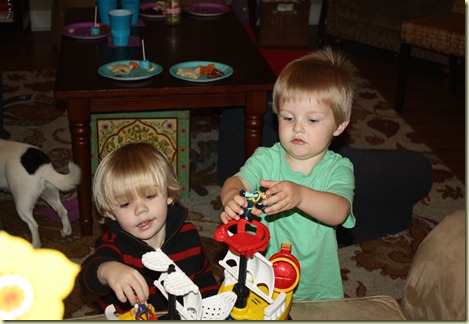 IMG_8424 IMG_8424