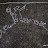 DSCN6586.JPG