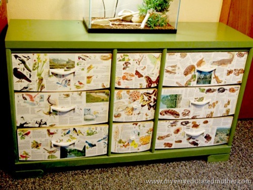 wildlifedresser #modpodge #dresser #crafting #furniture wildlifedresser #modpodge #dresser #crafting #furniture