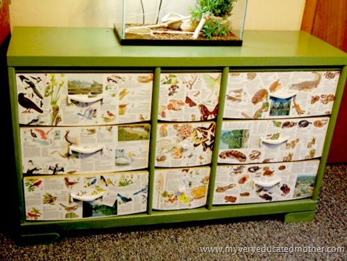 My Very Educated Mother Mod Podge Wildlife Dresser