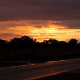 DSC_0800.JPG