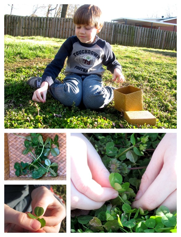 [picking%2520plants%255B5%255D.jpg]