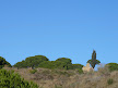 santa coloma, hill