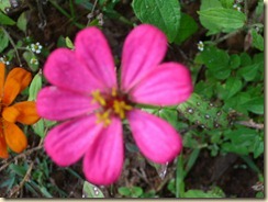 IMG_0863 IMG_0863