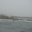Qingdao - Plage N2 - La Cité des Anges... en blanc
