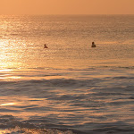 IMG_6590.JPG