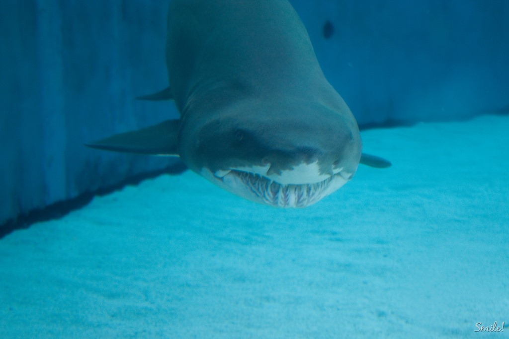 [20110812-IMG_4521%255B9%255D.jpg]