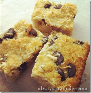 grain_free_coconut_bars