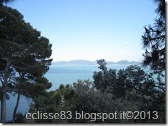 IMG_0178 IMG_0178