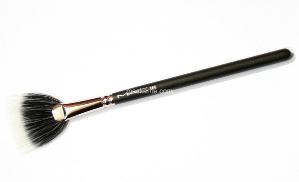 c_184DuoFibreFanBrush1