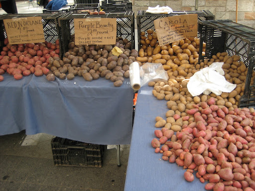 A plethora of potatoes