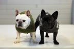 Sharkey, I'm still a fan of these sweaters that we wore on Martha's show recently!
