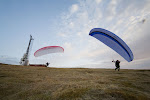 Foto: Roy Samuelsen - http://tnett.no/roy/