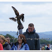 Cuerden Birds of Prey 017.jpg