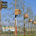 17 /apr / 2011  Fiera dei Osei