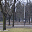 AndrzejDSC_0919.jpg