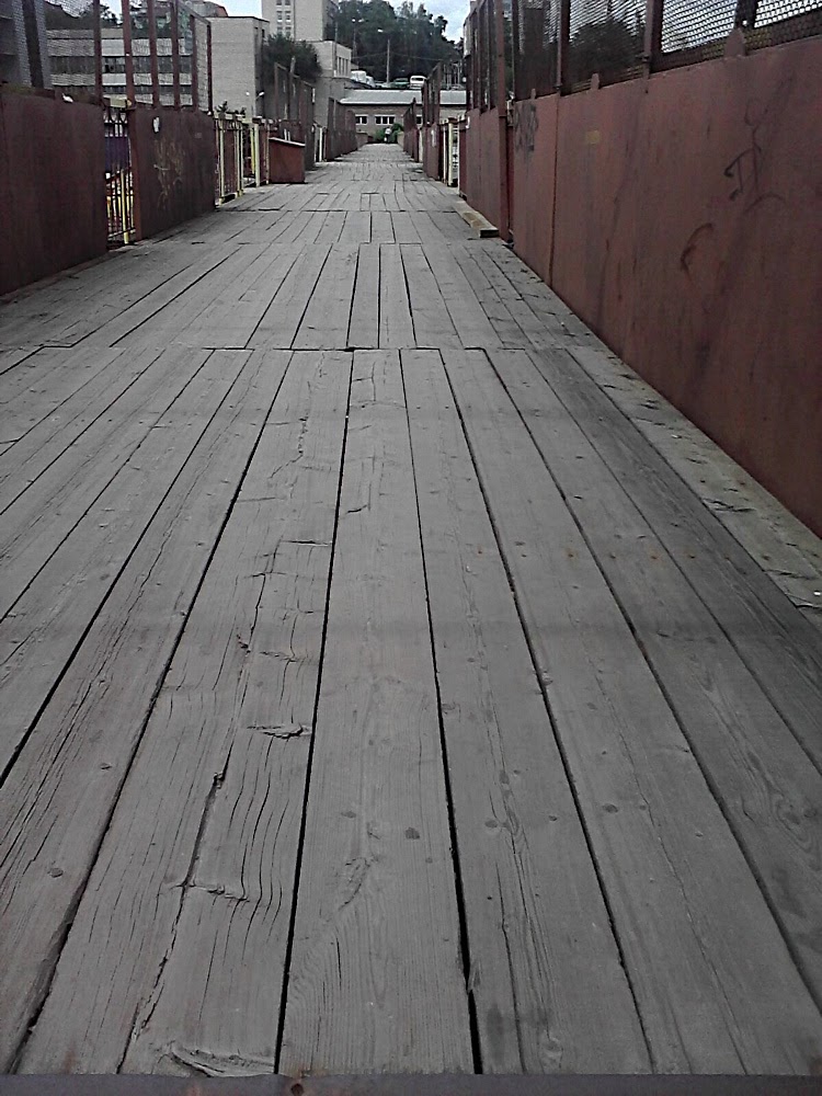 P300711_14.33.jpg