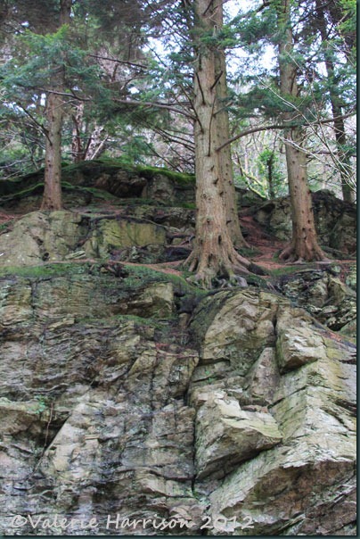 3-Scots-on-the-rocks