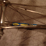 DSC02868.jpg