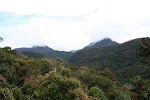 Cloud forest views from Abra Patricia Lodge, Peru