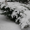 снежная зима 08-09 года (19).jpg