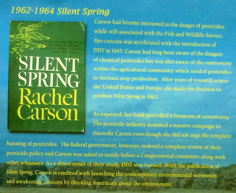 [02c---Rachel-Carson---Silent-Spring3.jpg]