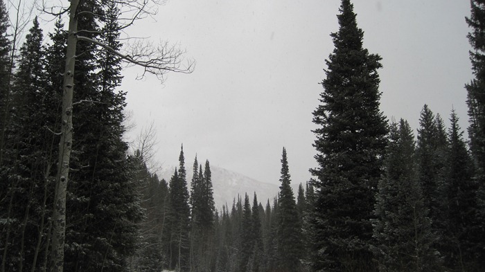 winter at Doughnut Falls