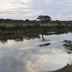 Morgenstimmung am Mara-Fluss © Foto: Svenja Penzel | Outback Africa