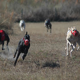 DSC_7015.JPG