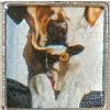 Reflecting on Maggie, Kathy shares, 