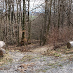singold-bote_waldlehrpfad-schwabegg_004.jpg