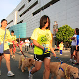 Pet Express Doggie Run 2012 Philippines. Jpg (137).JPG