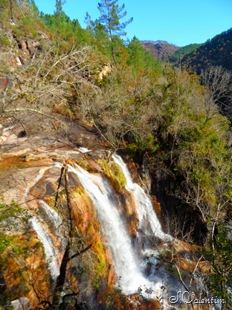 [SAM_1961%255B4%255D.jpg]