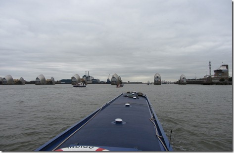 IMG_0571 IMG_0571