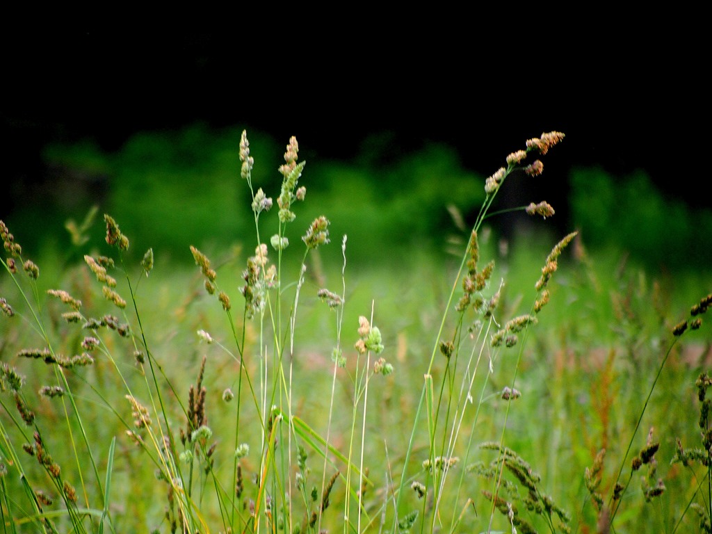 [9%2520July%25203%255B3%255D.jpg]