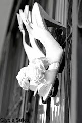 Gisela Salles fotografias