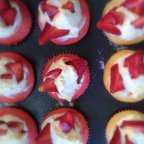 [cupcakes%255B3%255D.jpg]