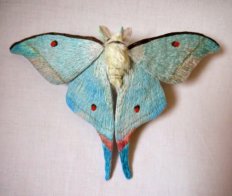 [insect-73.jpg]